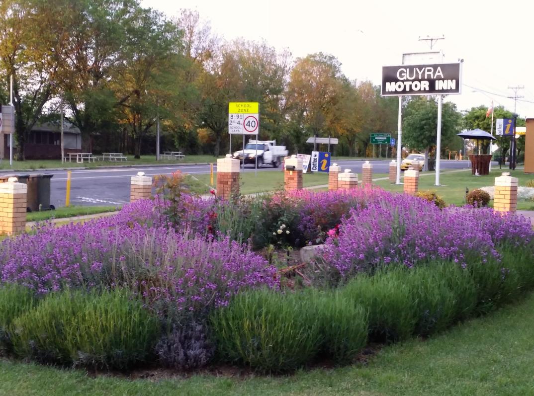Guyra Motor Inn Bagian luar foto